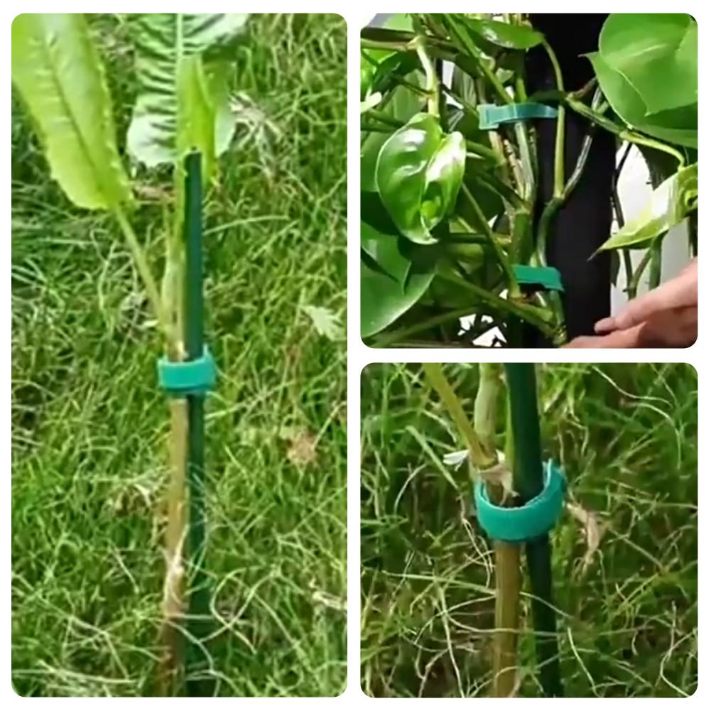 100pcs Reusable Adjustable Non - مراجعة Velcro Hook Loop وسعره