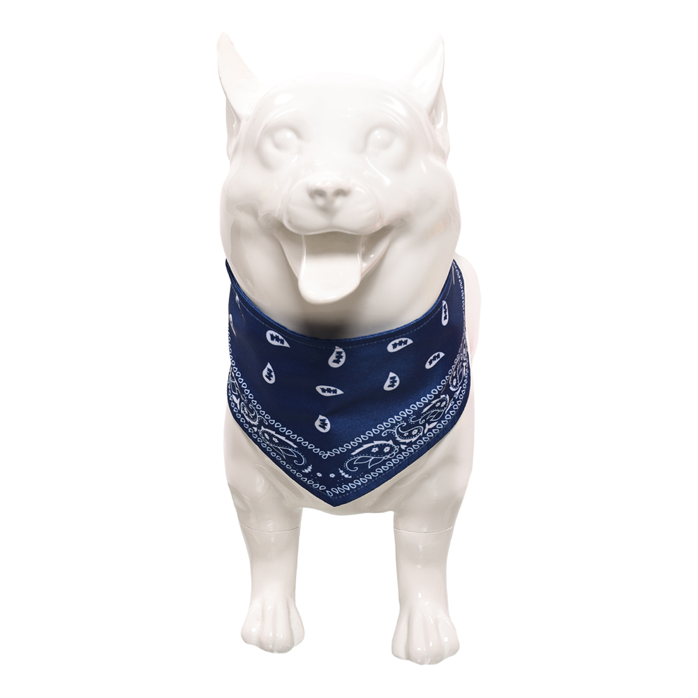 Eleven Cosplay Pet Dog Blue Pr - مراجعة Cosplay Prop Blueprints وسعره